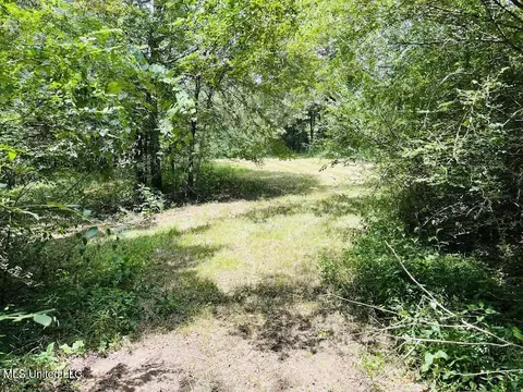 Hwy 305, Coldwater, MS 38618 photo 19