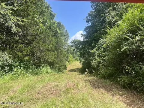 Hwy 305, Coldwater, MS 38618 photo 17