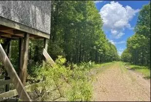 0 Priddy Rd, Rolling Fork, MS 39159 photo 11