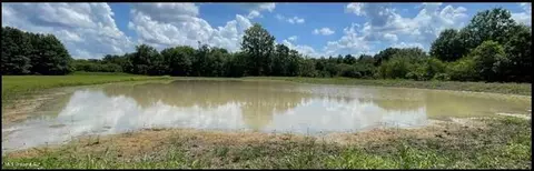 0 Priddy Rd, Rolling Fork, MS 39159 photo 17