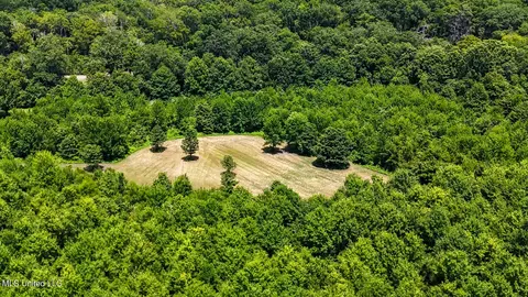 0 Priddy Rd, Rolling Fork, MS 39159 photo 5