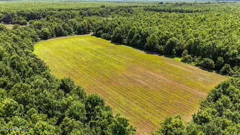0 Priddy Rd, Rolling Fork, MS 39159 photo 8