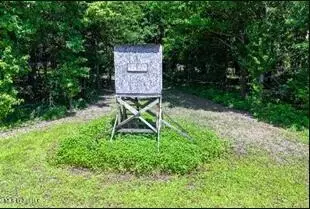 0 Priddy Rd, Rolling Fork, MS 39159 photo 9