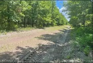 0 Priddy Rd, Rolling Fork, MS 39159 photo 12