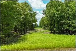 0 Priddy Rd, Rolling Fork, MS 39159 photo 14