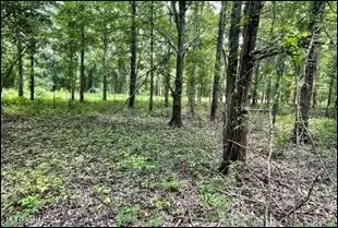 0 Priddy Rd, Rolling Fork, MS 39159 photo 15