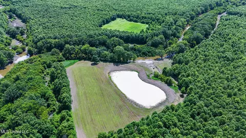 0 Priddy Rd, Rolling Fork, MS 39159 photo 7