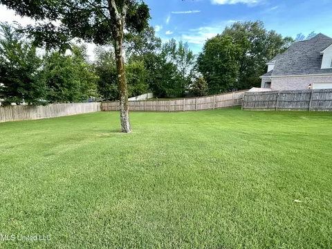 2180 Chancellor Cv, Nesbit, MS 38651 photo 45