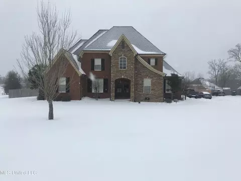 2180 Chancellor Cv, Nesbit, MS 38651 photo 50