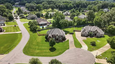 2180 Chancellor Cv, Nesbit, MS 38651 photo 3