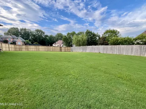 2180 Chancellor Cv, Nesbit, MS 38651 photo 46