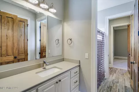 Bath - 111 Wingspan Way, Madison, MS 39110 photo 5 of 8