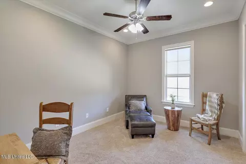 Other - 111 Wingspan Way, Madison, MS 39110 photo 13 of 15