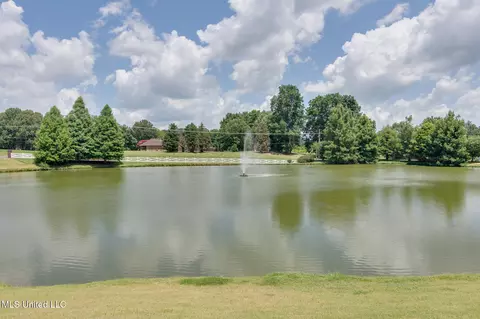 3077 W Jefferson Loop, Hernando, MS 38632 photo 40