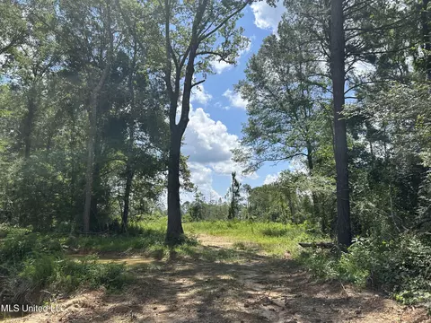Henry Cannon Road, Braxton, MS 39044