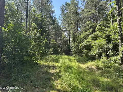 Shell Oil Road, Brandon, MS 39042 photo 31
