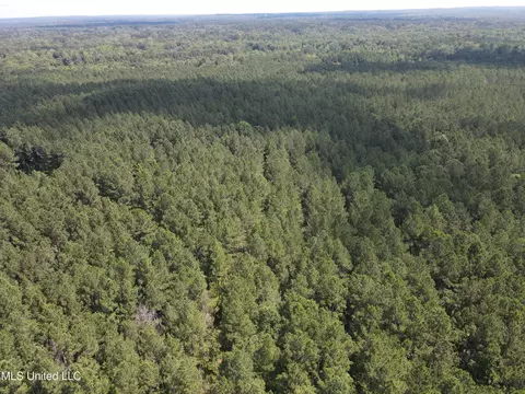 Shell Oil Road, Brandon, MS 39042 photo 3