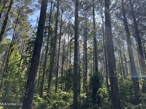Shell Oil Road, Brandon, MS 39042 photo 17