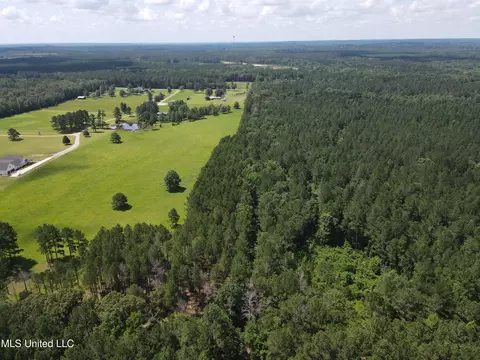 Shell Oil Road, Brandon, MS 39042 photo 15