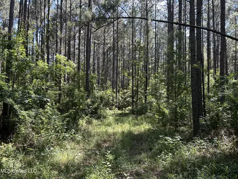 Shell Oil Road, Brandon, MS 39042 photo 19