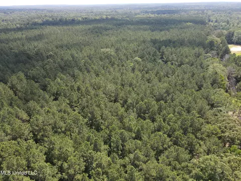 Shell Oil Road, Brandon, MS 39042 photo 2