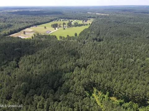 Shell Oil Road, Brandon, MS 39042 photo 13