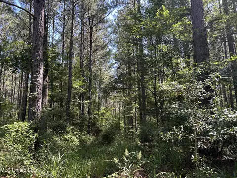 Shell Oil Road, Brandon, MS 39042 photo 16