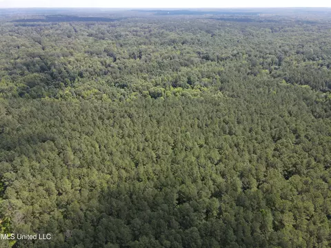 Shell Oil Road, Brandon, MS 39042 photo 9