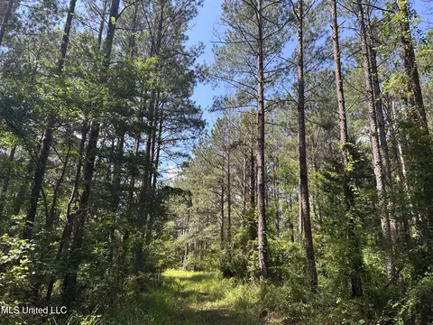Shell Oil Road, Brandon, MS 39042 photo 34