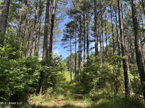 Shell Oil Road, Brandon, MS 39042 photo 27