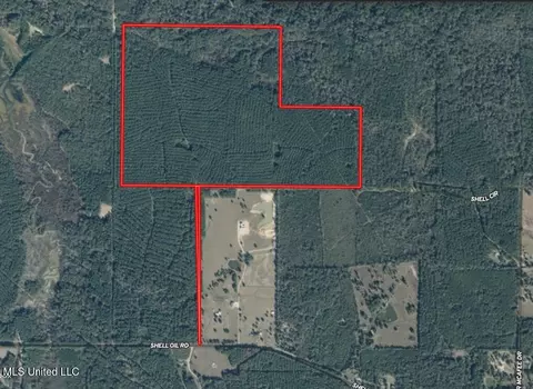 Shell Oil Road, Brandon, MS 39042 photo 36