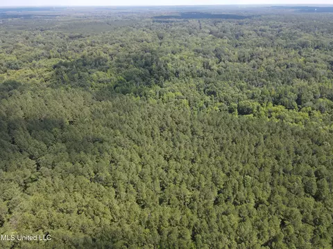 Shell Oil Road, Brandon, MS 39042 photo 11