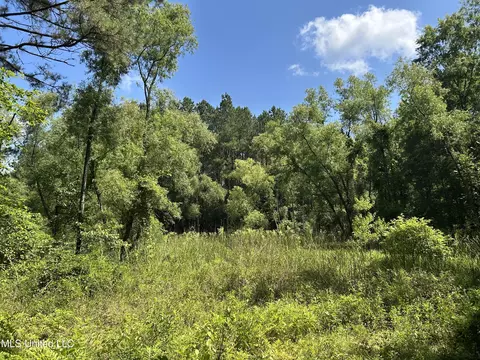 Shell Oil Road, Brandon, MS 39042 photo 26