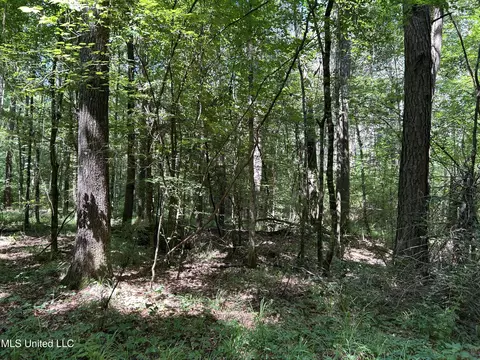 Shell Oil Road, Brandon, MS 39042 photo 22