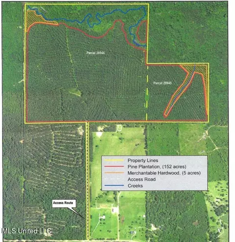 Shell Oil Road, Brandon, MS 39042 photo 35