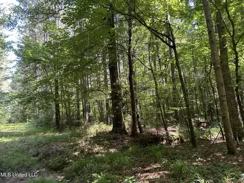 Shell Oil Road, Brandon, MS 39042 photo 23