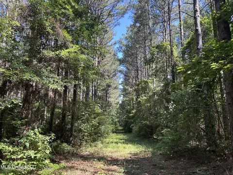 Shell Oil Road, Brandon, MS 39042 photo 21