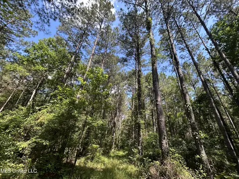 Shell Oil Road, Brandon, MS 39042 photo 32
