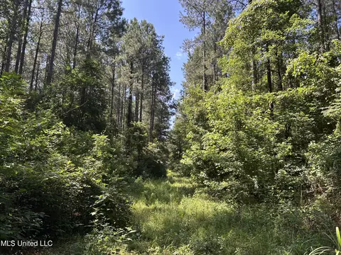 Shell Oil Road, Brandon, MS 39042 photo 30