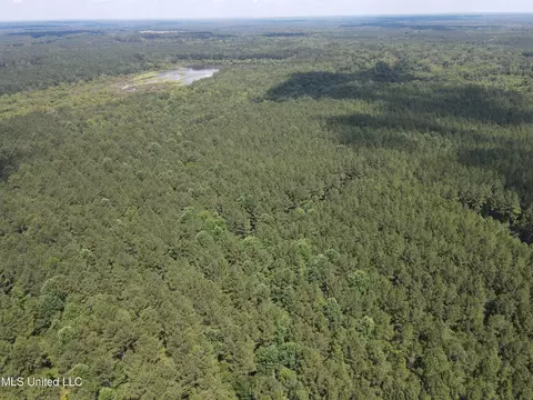 Shell Oil Road, Brandon, MS 39042 photo 6