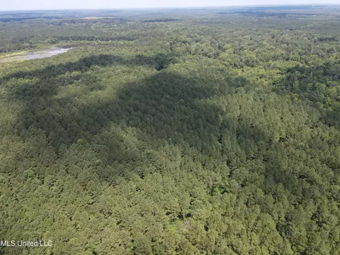 Shell Oil Road, Brandon, MS 39042 photo 12