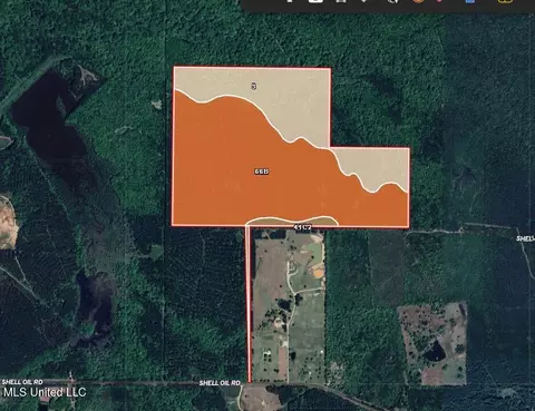 Shell Oil Road, Brandon, MS 39042 photo 39