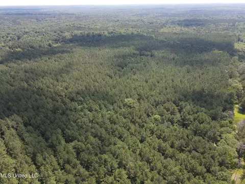 Shell Oil Road, Brandon, MS 39042 photo 4
