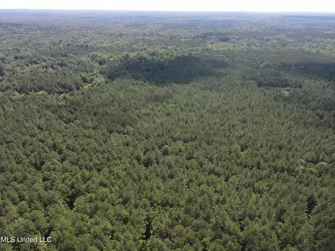 Shell Oil Road, Brandon, MS 39042 photo 10