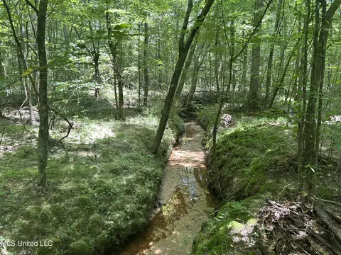 George Warren Road, Brandon, MS 39042 photo 14