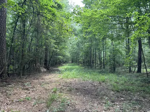 George Warren Road, Brandon, MS 39042 photo 25