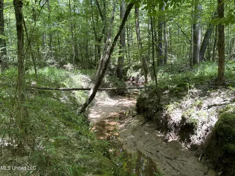 George Warren Road, Brandon, MS 39042 photo 18