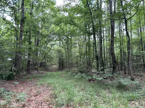 George Warren Road, Brandon, MS 39042 photo 26