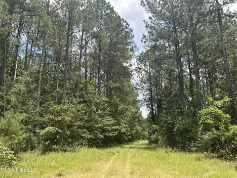 George Warren Road, Brandon, MS 39042 photo 3