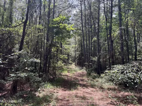 George Warren Road, Brandon, MS 39042 photo 28